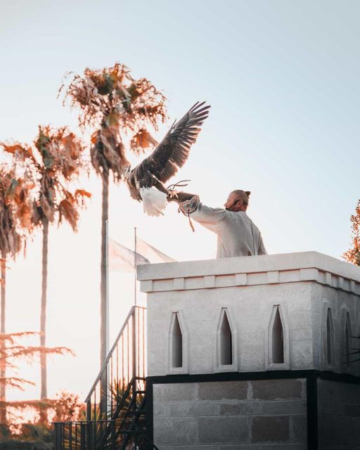 The Court of the Falconer Masseria Mazzetta - Good To Know
