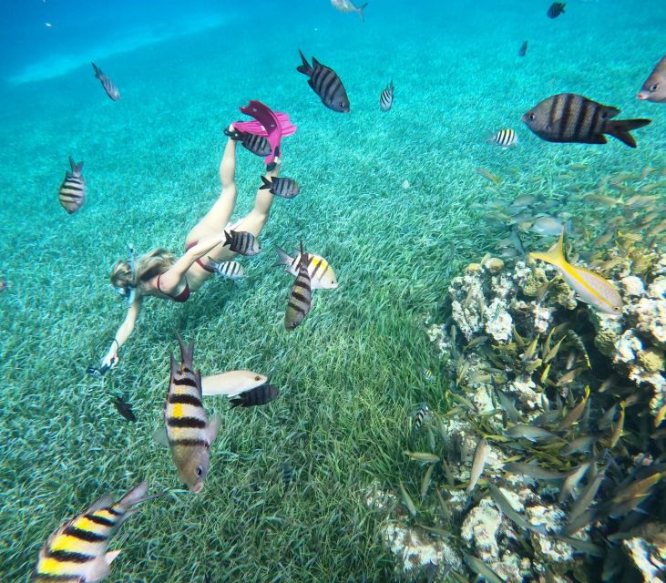 The Cozumel Turtle Sanctuary Snorkel Tour - Booking and Payment Details