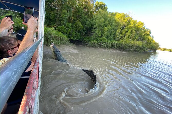 The Croc Bus to the Famous Jumping Crocodile Cruise - The Sum Up