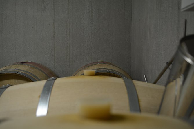 The CUBE: Private Tour of Semi-Gravity Cubist Cellar With Wine Tasting - Location and Start Time