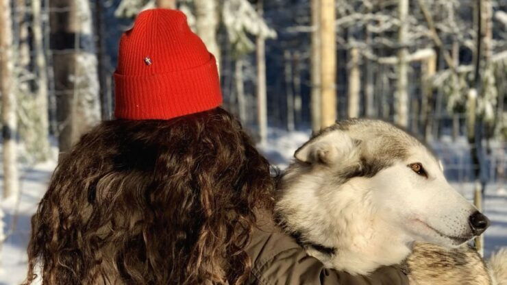 The Cuddly Wolf - Engaging With Wolves: a Unique Experience