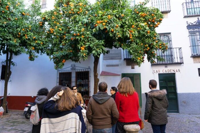 The Cultures of Seville Walking Tour - Customer Experiences and Reviews