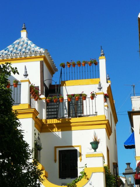 The Cultures of Seville Walking Tour - Why Choose the Cultures of Seville Walking Tour