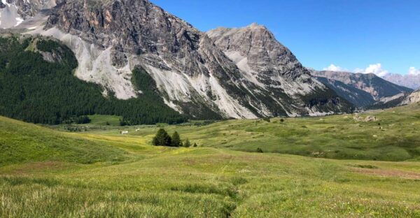 The Dark Side of the Moon - The Sum Up