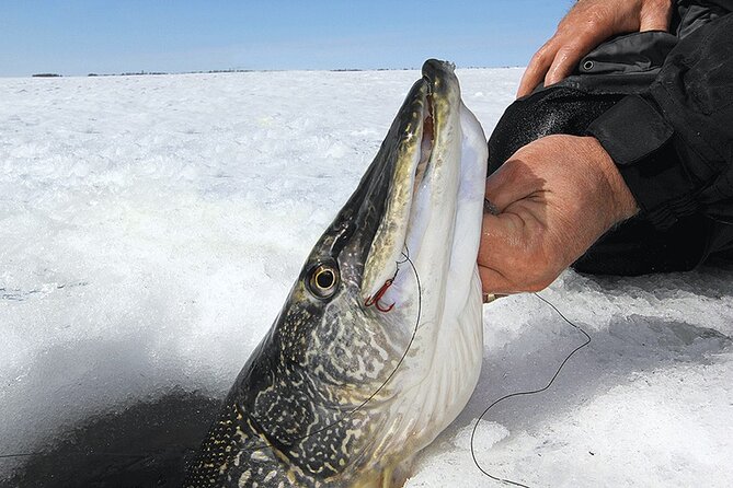 The Date With Aurora: Ice Fishing Tour From Fairbanks - What to Expect
