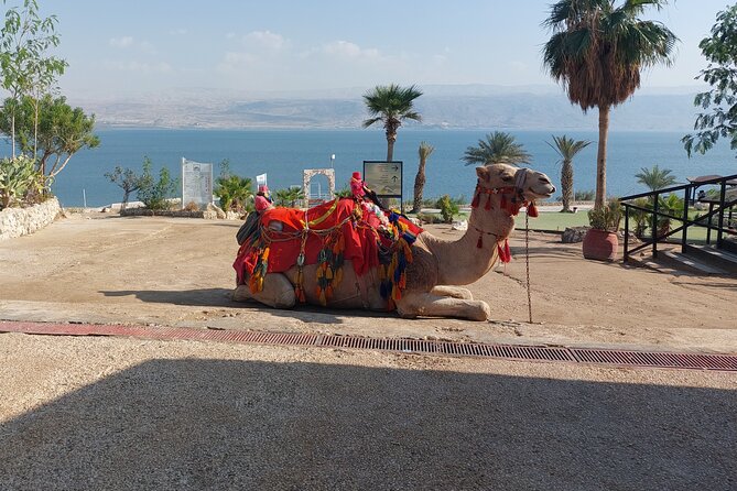 The Dead Sea and Masada Desert Adventure Private Tour - Accessibility Information