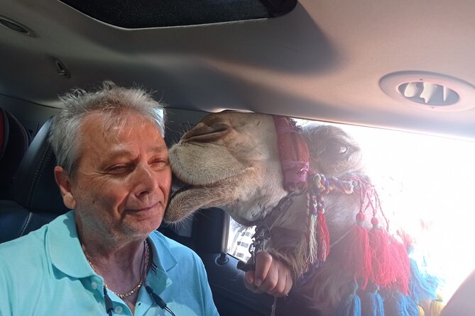The Dead Sea and Masada Desert Adventure Private Tour - Price and Reviews
