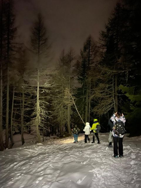 The Dolomites at Night With Snowshoes - Highlights