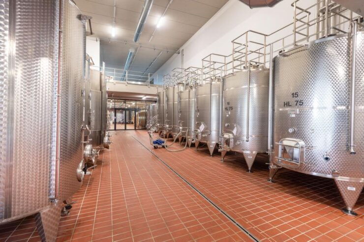 The Dosman: Winetasting in La Morra - Customer Reviews