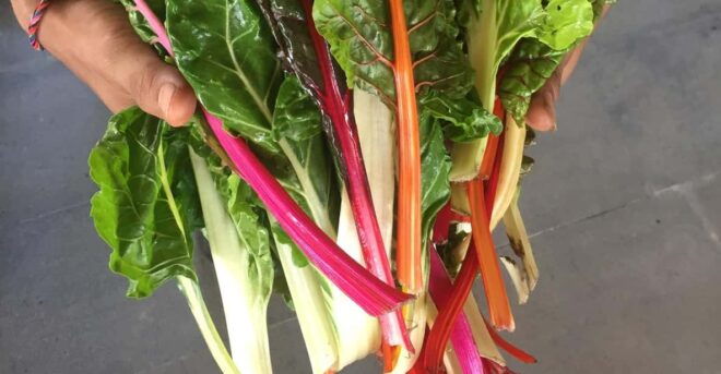 The Double Montreal Market Tour: Atwater + Jean Talon - Group Size and Language