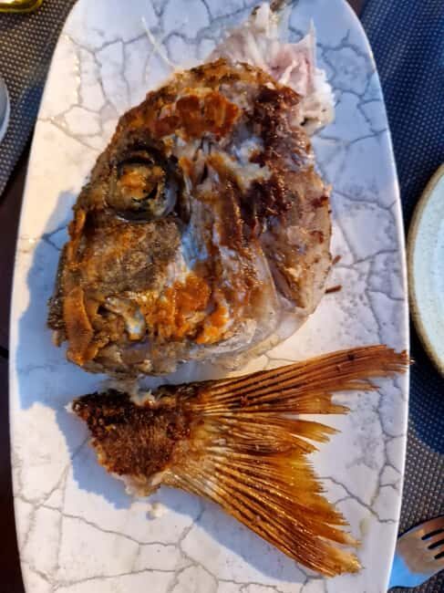 The Dubrovnik Elafiti Islands RIB Boat Tour with LUMAX ***** - Value and Overall Impression