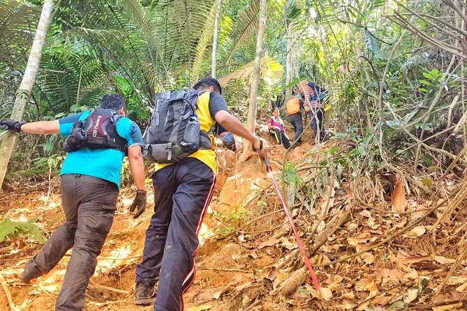 The Dusun : Jungle Trekking Adventure to Waterfall With Jungle Guide - Inclusions