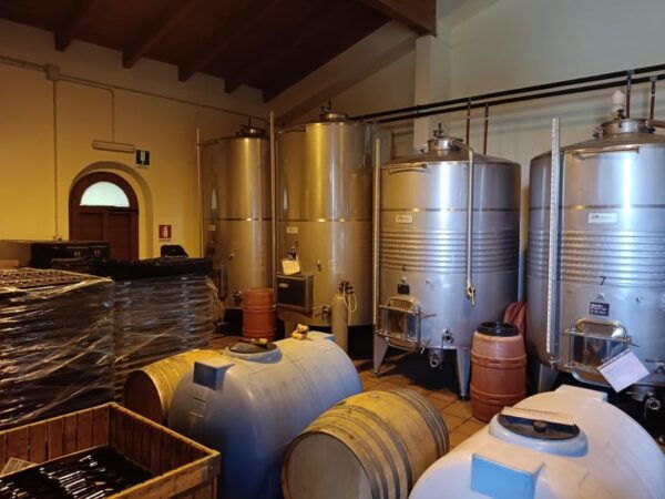 The Dying City Civita Bagnoregio W/Wine Tasting From Port - Important Travel Information
