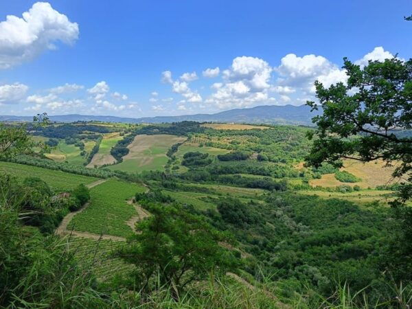 The Dying City Civita Bagnoregio W/Wine Tasting From Port - Frequently Asked Questions