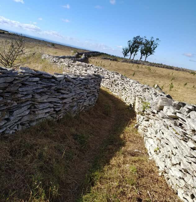 The Earth Remembers: SUV Tour in Serras de Aire e Candeeiros - Good To Know