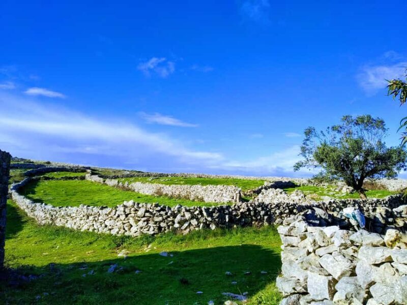 The Earth Remembers: SUV Tour in Serras de Aire e Candeeiros - The Itinerary in Depth