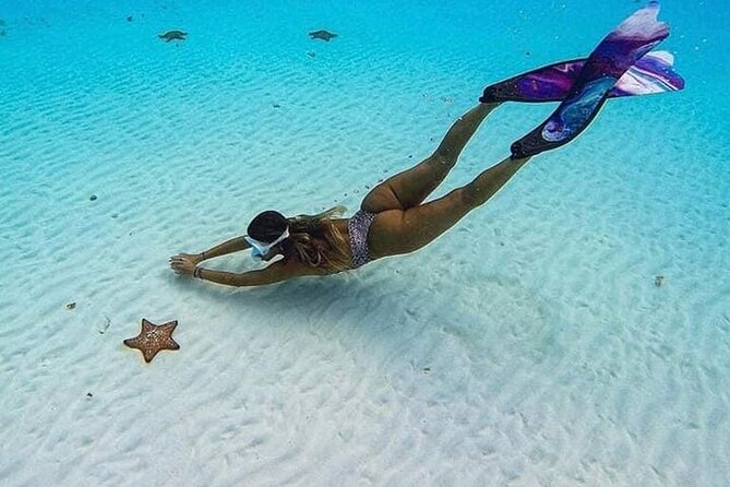 The El Cielo Cozumel Snorkeling Tour Is an All-Inclusive Experience - Pricing Concerns