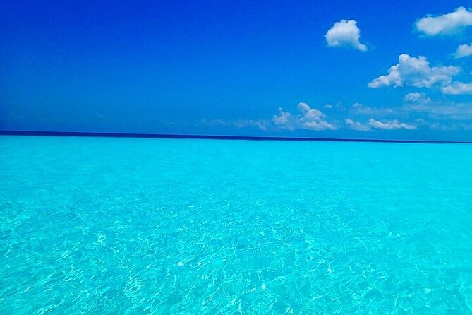 The El Cielo Cozumel Snorkeling Tour Is an All-Inclusive Experience - The Sum Up