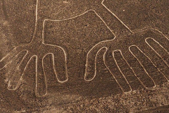 The Enigmatic Nazca Lines & Huacachina Oasis - Private - What To Expect