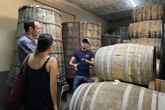 The Essence of Tequila Experience - Tequila Making Process