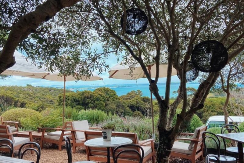 The Essence of Waiheke Wine Tour - Price, value, and who should book