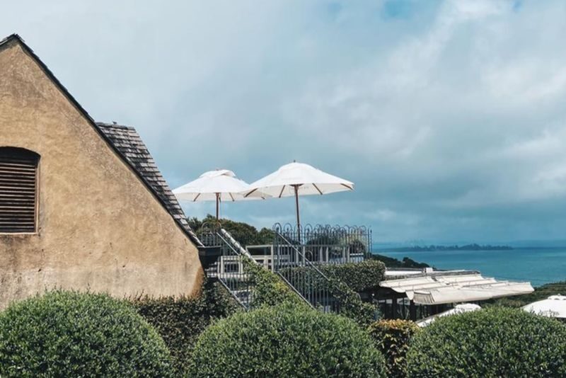 The Essence of Waiheke Wine Tour - Should you book this Waiheke wine tour?