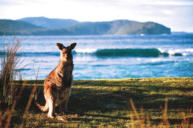 The Eurobodalla Experience (Full Day Private Tour Including Lunch) - Overview of the Eurobodalla Nature Coast