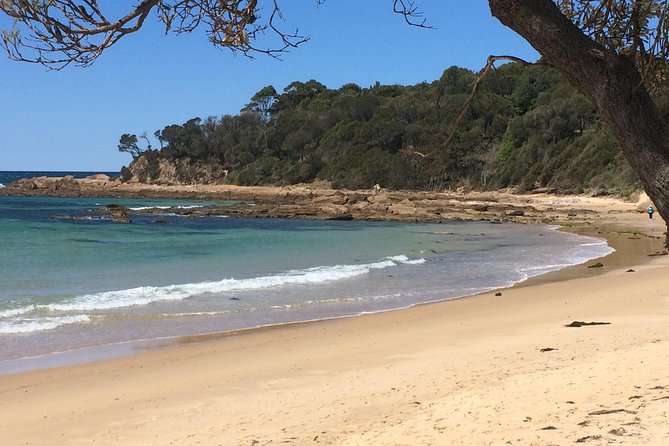 The Eurobodalla Experience (Full Day Private Tour Including Lunch) - Pricing and Group Size Options