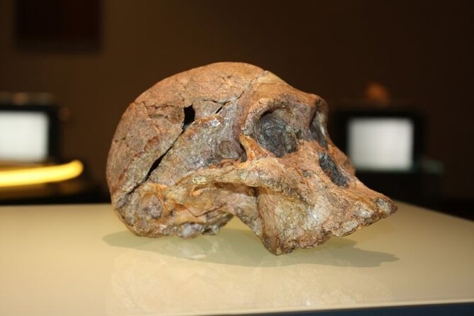The Evolution Of Humankind Tour - Historical Context