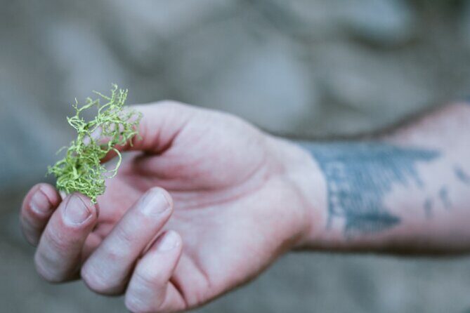 The Evolution of Yosemite 3 Hour Walking Tour - Good To Know
