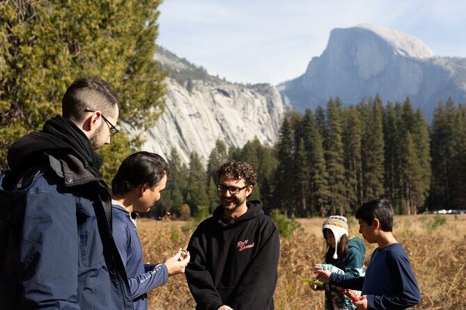 The Evolution of Yosemite 3 Hour Walking Tour - What is the Evolution of Yosemite Tour About?