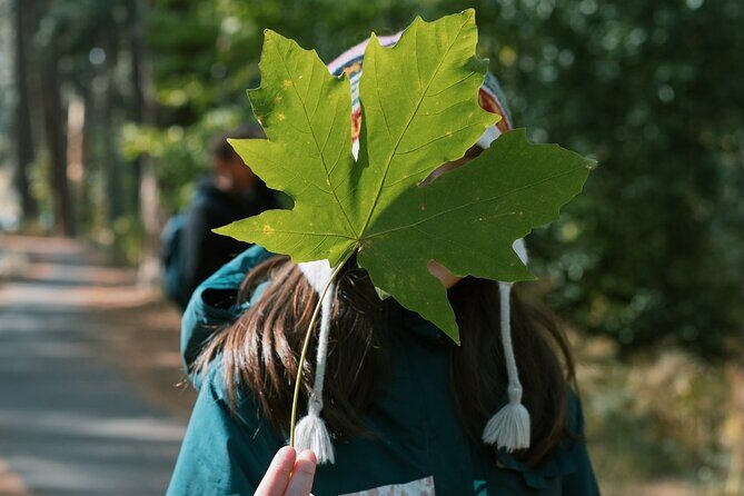 The Evolution of Yosemite 3 Hour Walking Tour - Practical Considerations