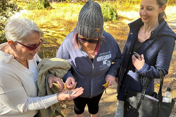 The Evolution of Yosemite 3 Hour Walking Tour - Who Will Love This Tour?