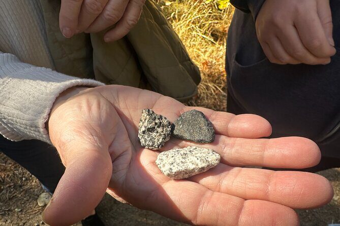 The Evolution of Yosemite 3 Hour Walking Tour - The Sum Up