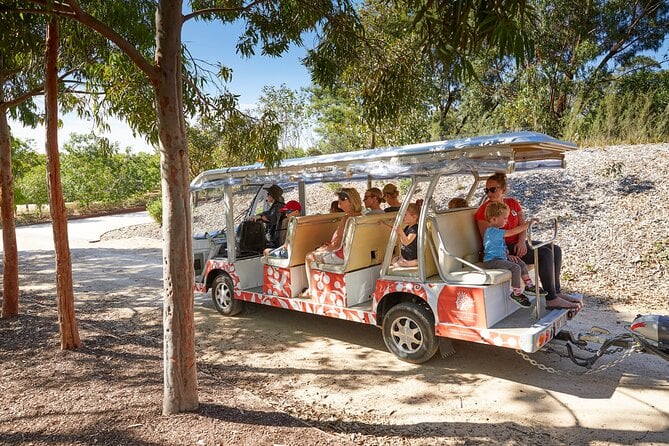 The Explorer - Cranbourne Gardens - Pricing and Booking Information for the Explorer Bus Tour