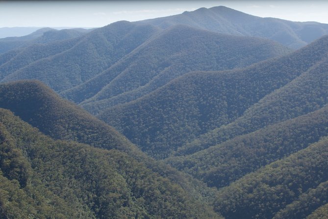 The Explorers Discovery Small Group Tour - Gold, Wine & Wildlife - Wildlife Encounters