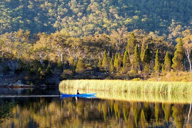 The Explorers Discovery Tour - Gold, Wine & Wildlife - Refund and Cancellation Policy