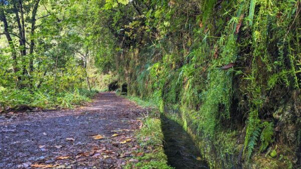 The Fabulous Pico Do Arieiro in 4h: Immersive Experience - Common Questions