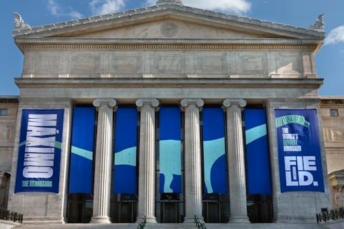 The Field Museum of Natural History Admission in Chicago - Start with the dinosaurs, then follow your curiosity
