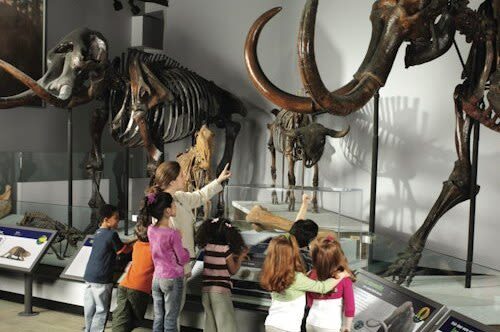 The Field Museum of Natural History Admission in Chicago - Ancient Egypt beyond the sarcophagus