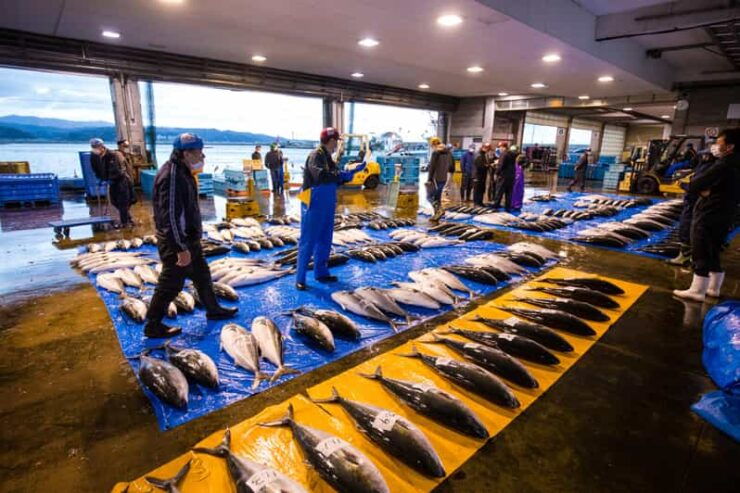 The Finest Ocean Gastronomy Tour. - Good To Know