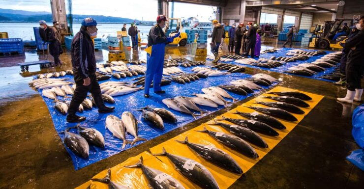 The Finest Ocean Gastronomy Tour. - Unforgettable Culinary Experience