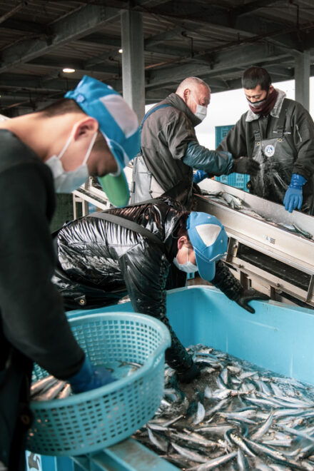 The Finest Ocean Gastronomy Tour. - Inclusions and Accommodations