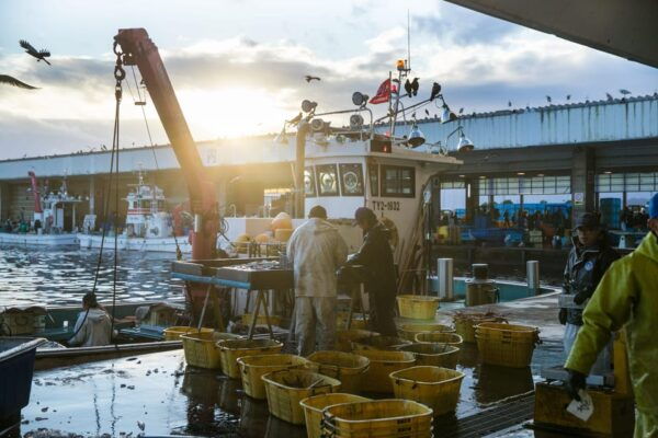 The Finest Ocean Gastronomy Tour. - Frequently Asked Questions