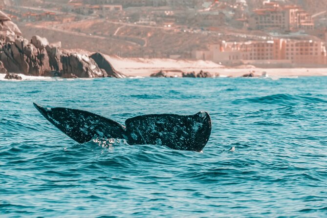 The Finest Yacht Tour Experience 3 Hrs for up to 8 People - Infant and Child Policy