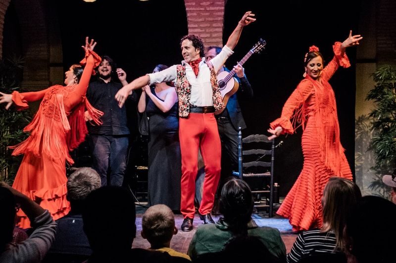 The Flamenco Show with optional Dance Museum Admission in Seville - Key points to know