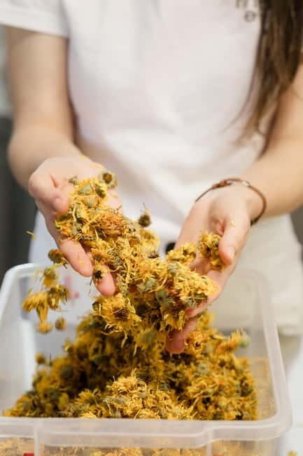 The flavours of Greece Tasting: Spot on the map and discover - Good To Know