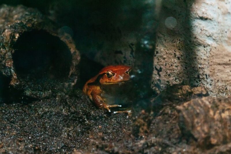 The Florida Aquarium Ticket - FAQs