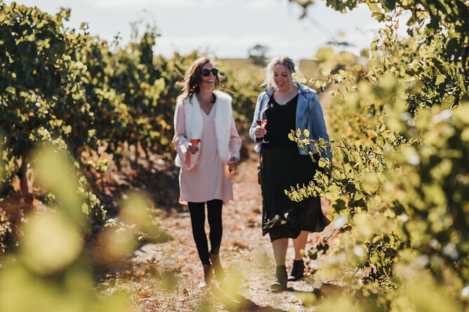 The Florita Wine Tasting Experience - Snacks