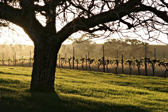 The Florita Wine Tasting Experience - Meeting Point, Start Time, and End Point